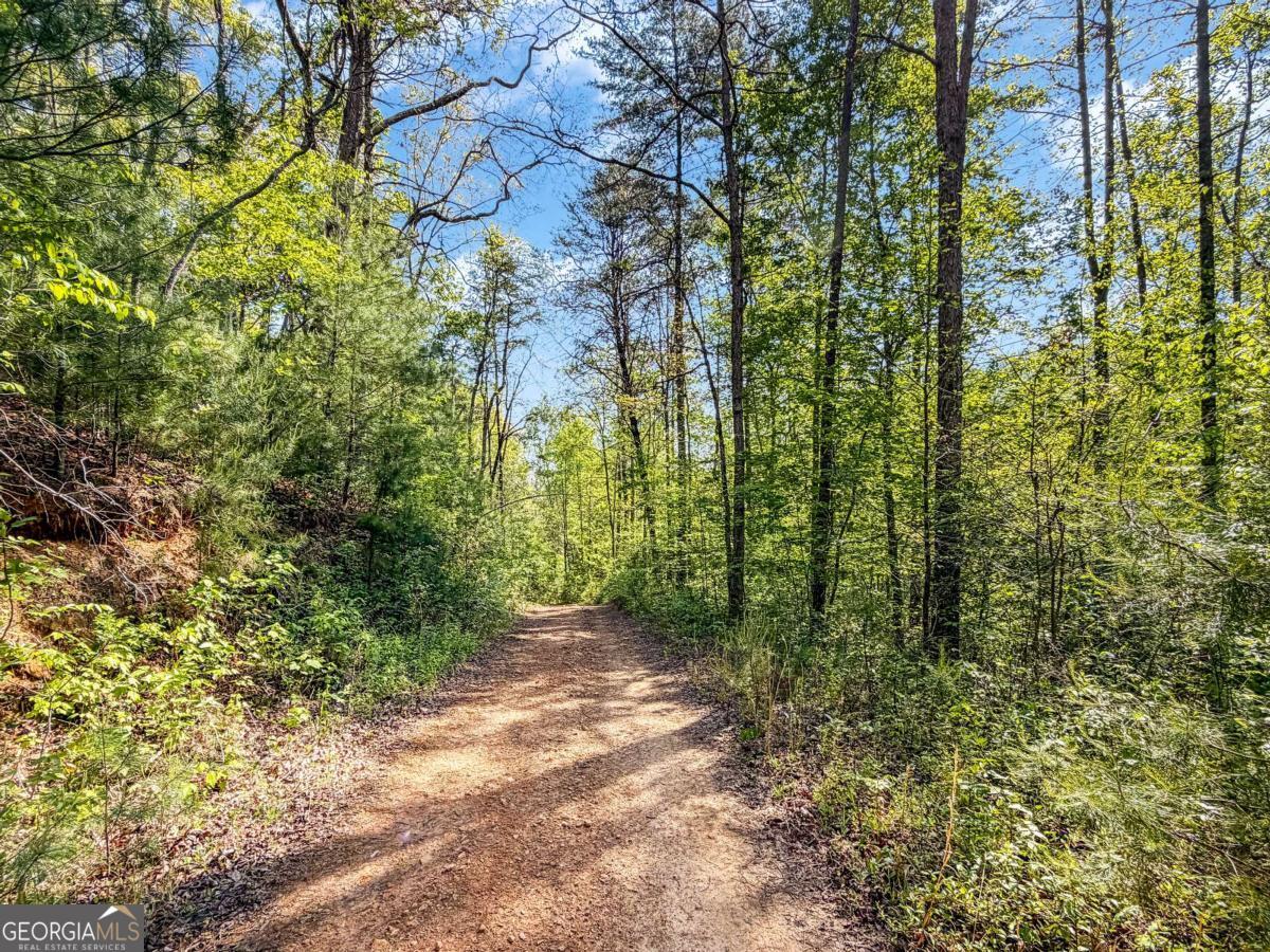 80 Acres Valley Lake Road Mineral Bluff GA 30559