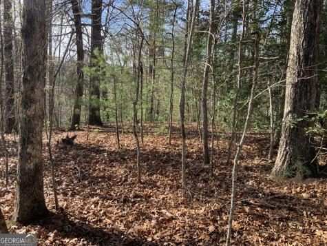 0 Fightingtown Creek Mccaysville GA 30555