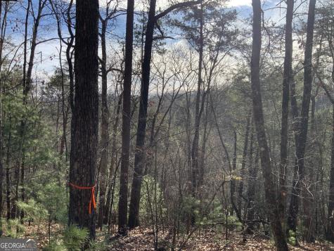 0 Fightingtown Creek Mccaysville GA 30555