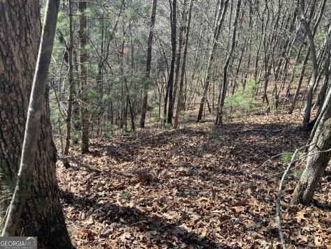 0 Fightingtown Creek Mccaysville GA 30555