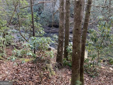 0 Fightingtown Creek Mccaysville GA 30555