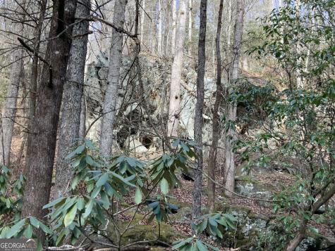 0 Fightingtown Creek Mccaysville GA 30555