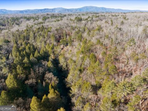 0 Fightingtown Creek Mccaysville GA 30555