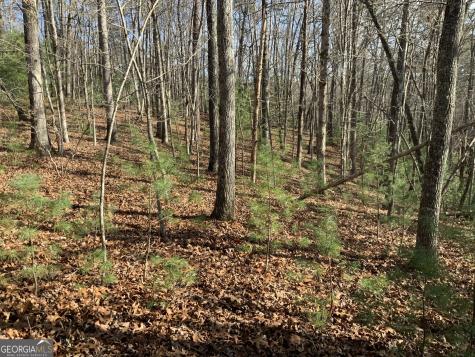 0 Fightingtown Creek Mccaysville GA 30555
