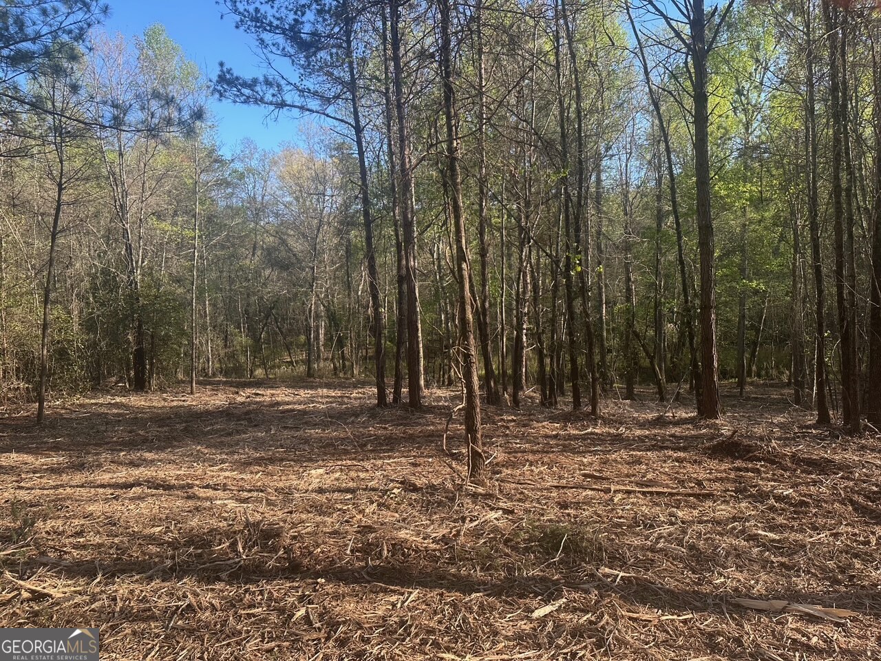 0 Lee Mashburn Road Dahlonega GA 30533