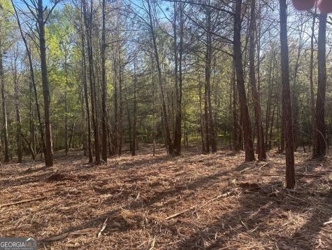 0 Lee Mashburn Road Dahlonega GA 30533