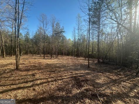 0 Lee Mashburn Road Dahlonega GA 30533