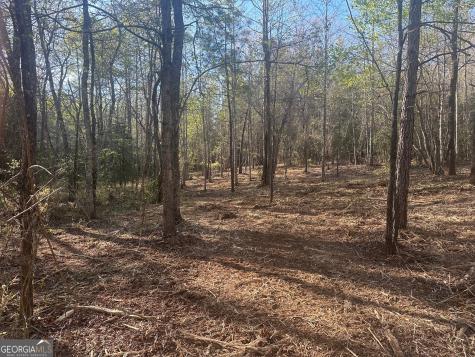 0 Lee Mashburn Road Dahlonega GA 30533