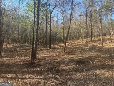 0 Lee Mashburn Road Dahlonega GA 30533