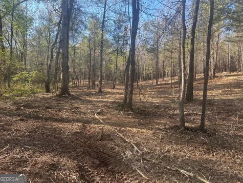 0 Lee Mashburn Road Dahlonega GA 30533