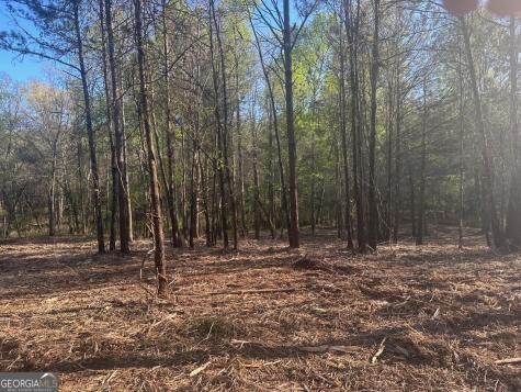 0 Lee Mashburn Road Dahlonega GA 30533
