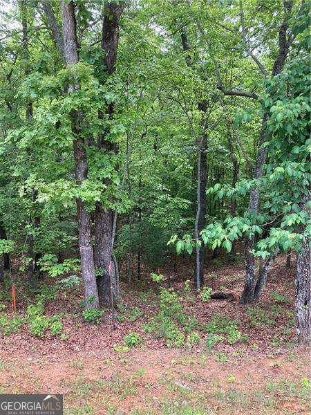 0 Crest View Drive Dahlonega GA 30533