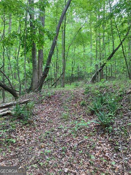 0 Crest View Drive Dahlonega GA 30533