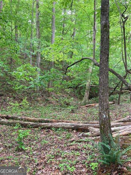 0 Crest View Drive Dahlonega GA 30533