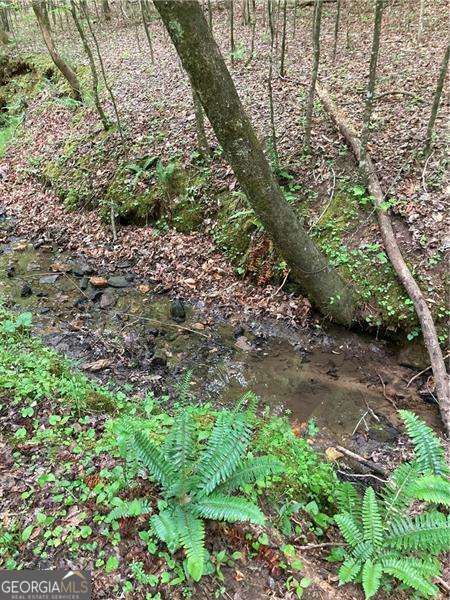 0 Crest View Drive Dahlonega GA 30533