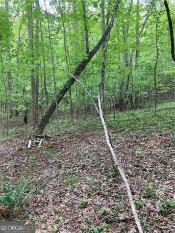 0 Crest View Drive Dahlonega GA 30533