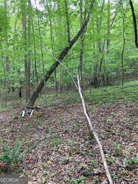 0 Crest View Drive Dahlonega GA 30533