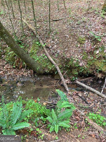 0 Crest View Drive Dahlonega GA 30533