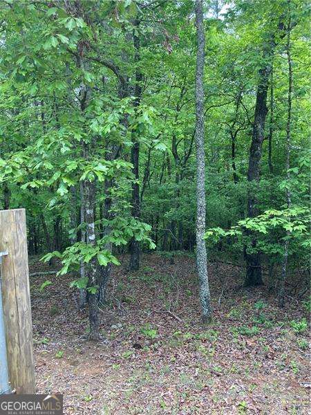0 Crest View Drive Dahlonega GA 30533