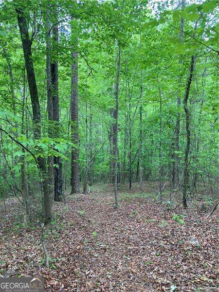 0 Crest View Drive Dahlonega GA 30533