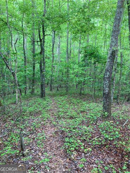 0 Crest View Drive Dahlonega GA 30533