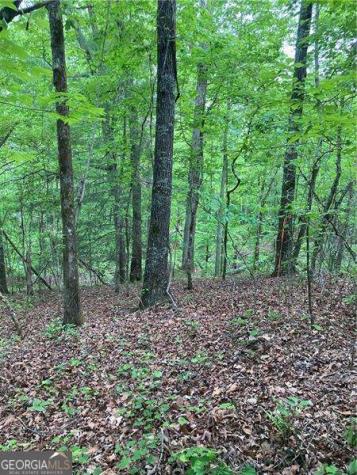 0 Crest View Drive Dahlonega GA 30533