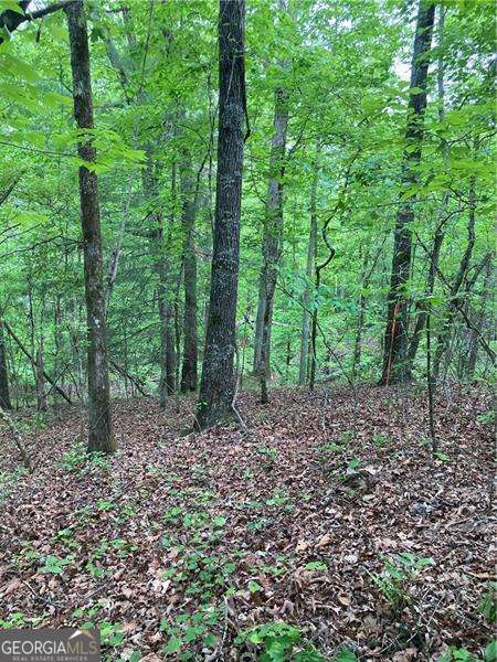0 Crest View Drive Dahlonega GA 30533