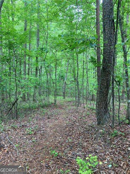 0 Crest View Drive Dahlonega GA 30533