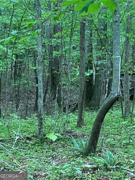 0 Crest View Drive Dahlonega GA 30533