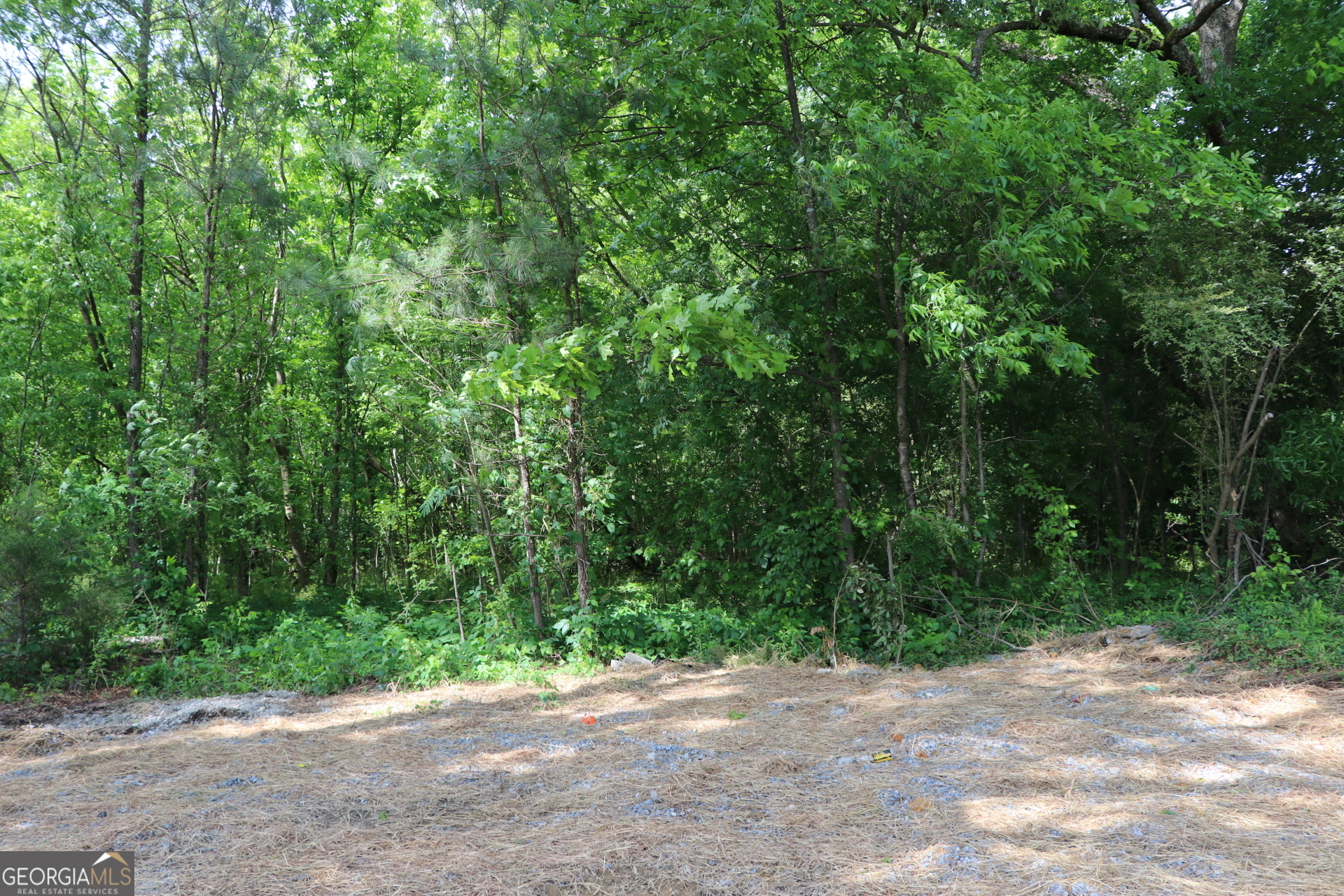 500 Highland Avenue Summerville GA 30747