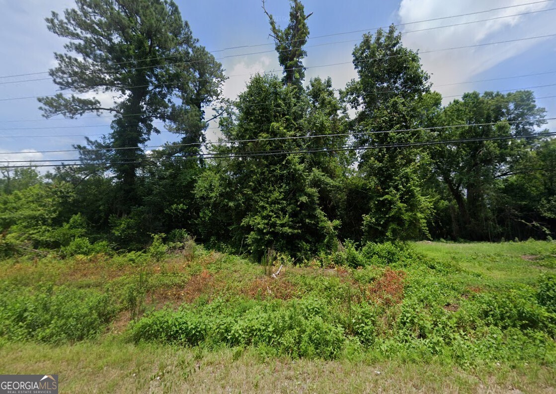 3320 Riggins Mill Road Macon GA 31217