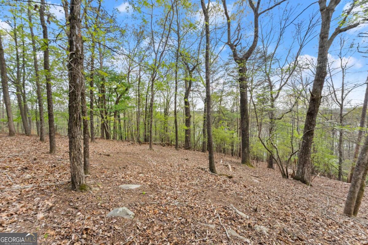 2524 Thompson Ovlk Gainesville GA 30506