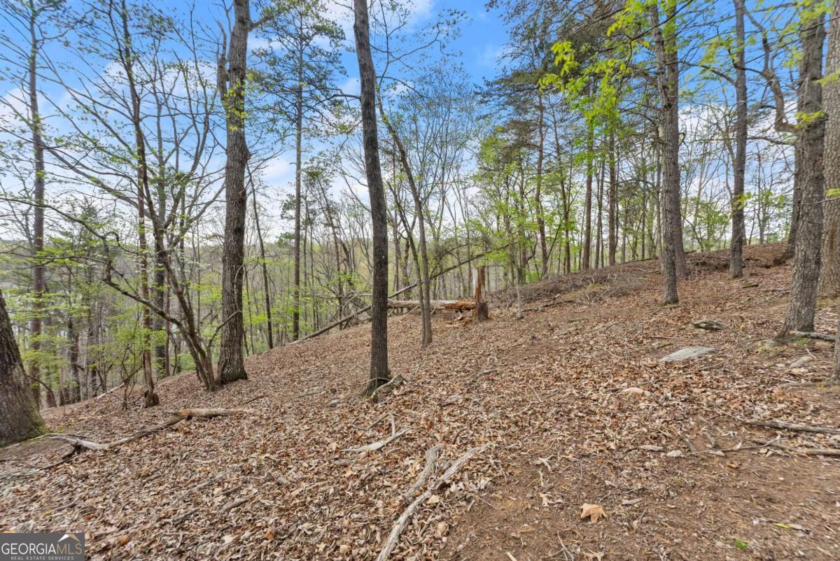2524 Thompson Ovlk Gainesville GA 30506