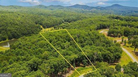 0 Ridge Drive Morganton GA 30560