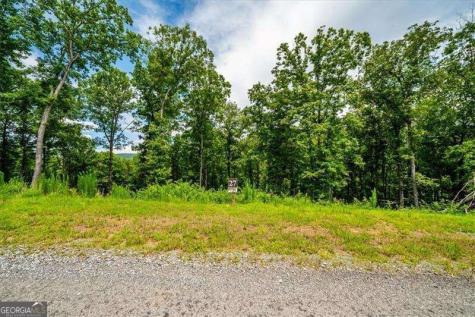 0 Ridge Drive Morganton GA 30560