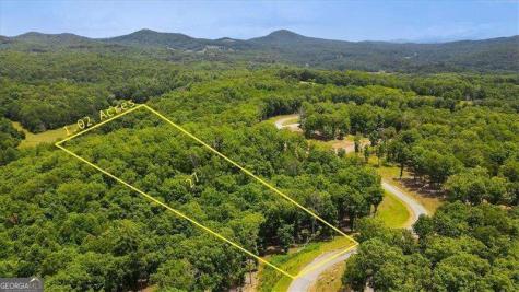 0 Ridge Drive Morganton GA 30560