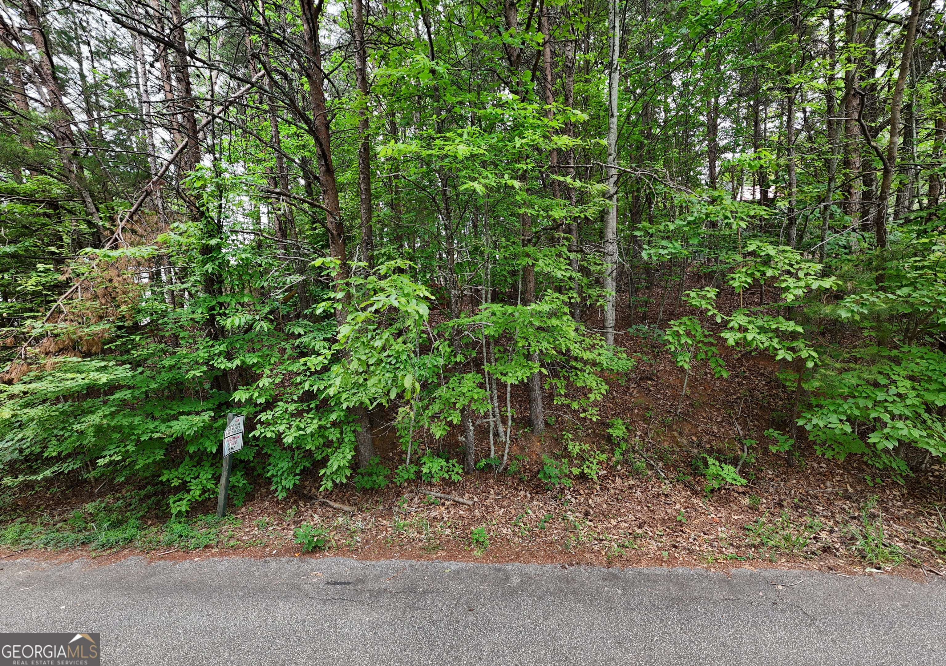Lot B2 Starlight Drive Sautee Nacoochee GA 30571