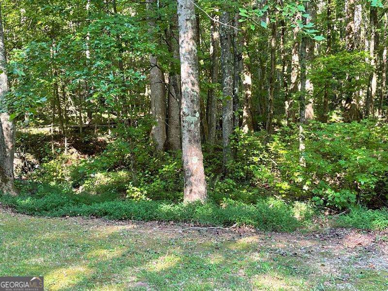 76 Tally Cove Road Jasper GA 30143