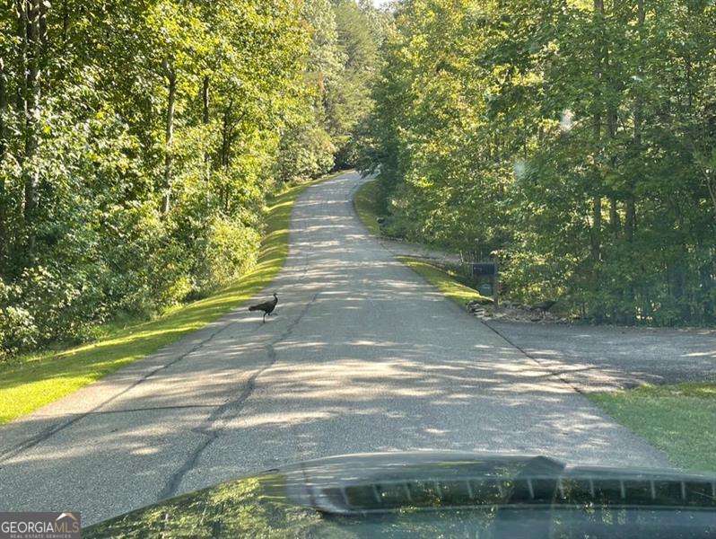 76 Tally Cove Road Jasper GA 30143