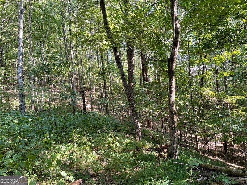 76 Tally Cove Road Jasper GA 30143