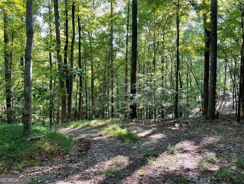 76 Tally Cove Road Jasper GA 30143