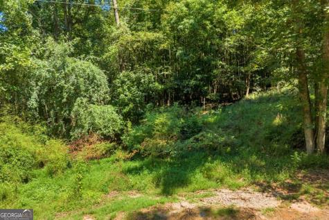 0 Thomas Road Cleveland GA 30528