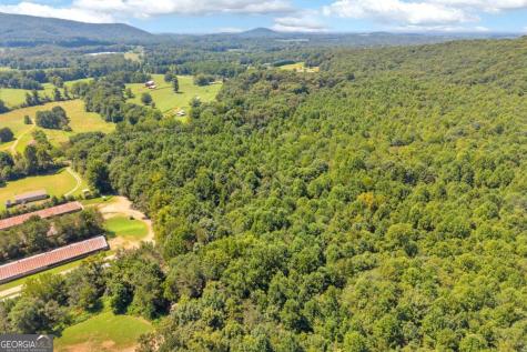 0 Thomas Road Cleveland GA 30528