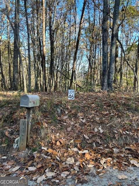 440 Ridge Road Dawsonville GA 30534