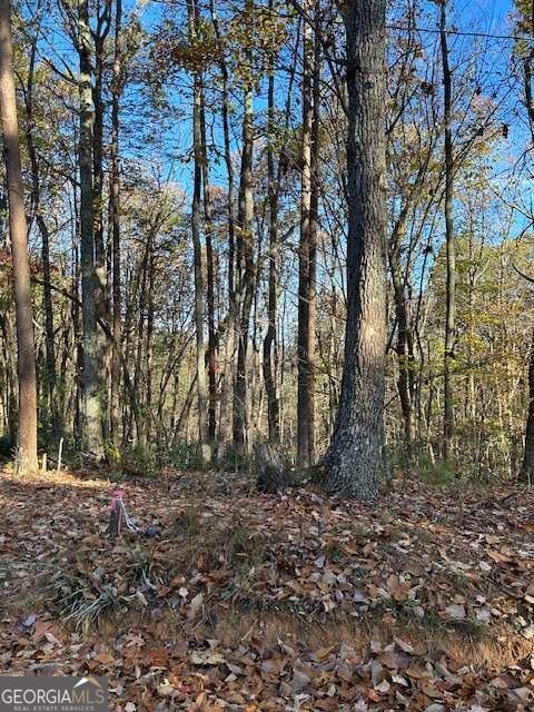440 Ridge Road Dawsonville GA 30534