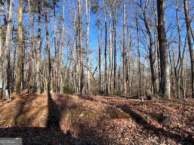 440 Ridge Road Dawsonville GA 30534