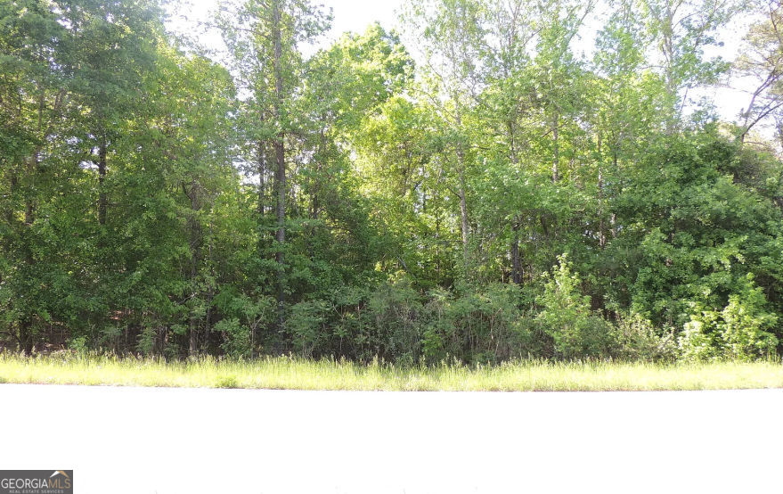 0 Causey Road Knoxville GA 31050