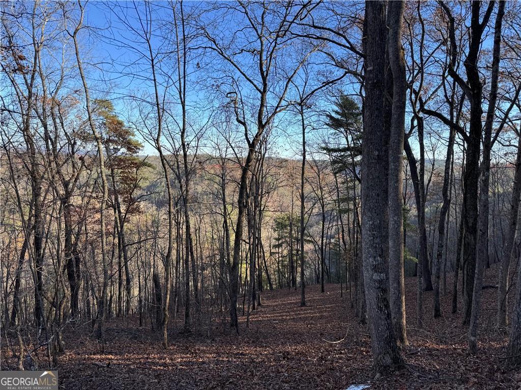 803 Greenwood Circle Ranger GA 30734