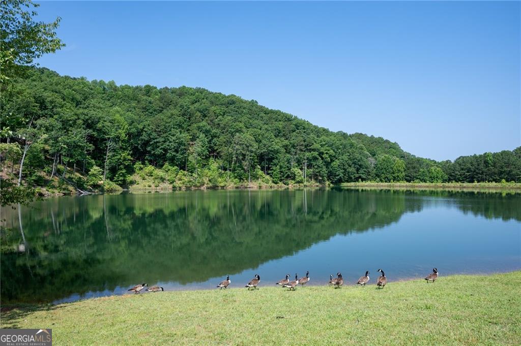 803 Greenwood Circle Ranger GA 30734