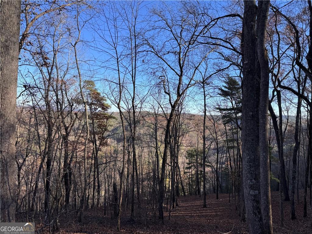 803 Greenwood Circle Ranger GA 30734